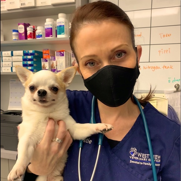 Meet your Posher, Kristie - Picture 1 of 1